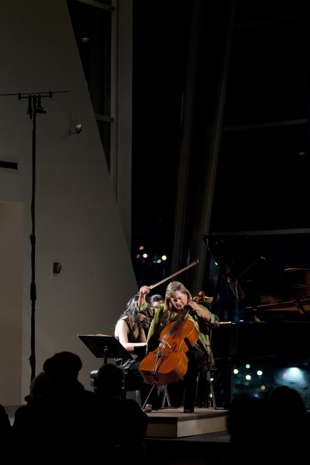 String Theory at the Hunter, photo 50