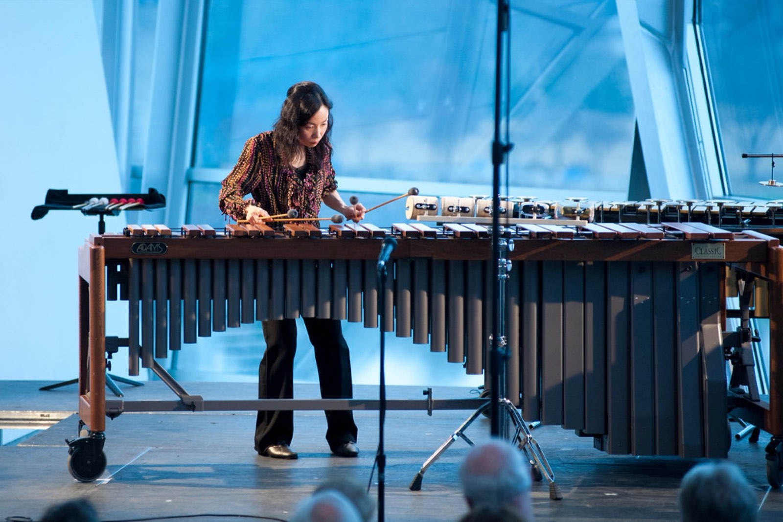 String Theory at the Hunter — Season VI, photo 39