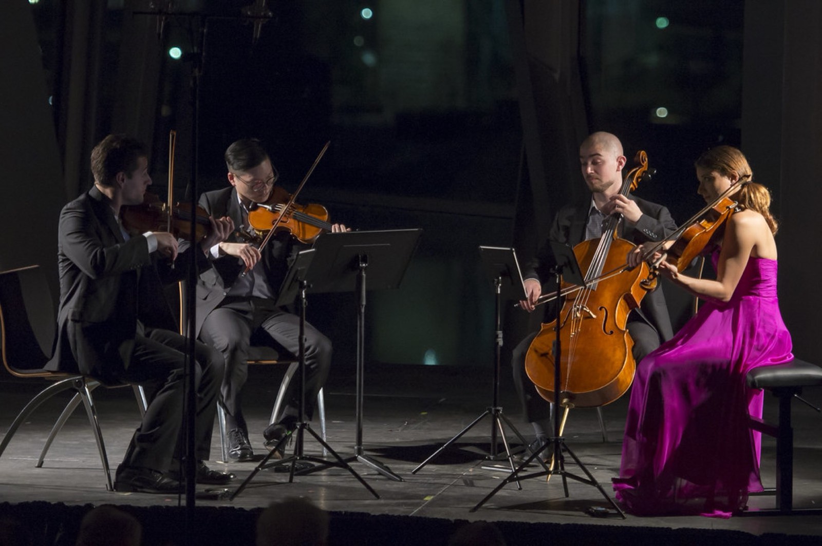 String Theory at the Hunter — Season VIII, photo 11